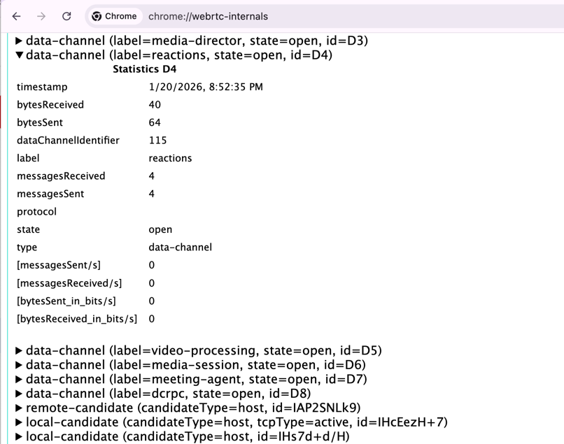 chrome://webrtc-internals showing the “reactions” channel